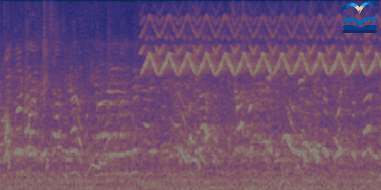 Serval Sound AI MAchine Listening