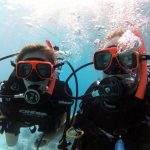Remote werken vanuit Bonaire